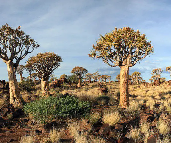 Landschap Namibië met blauwe lucht, Paysage de Namibie avec ciel bleu