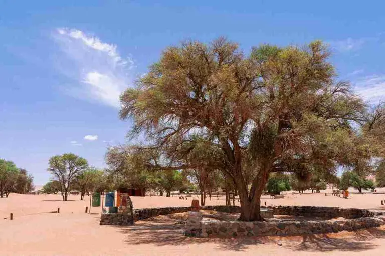 Namibia camping
