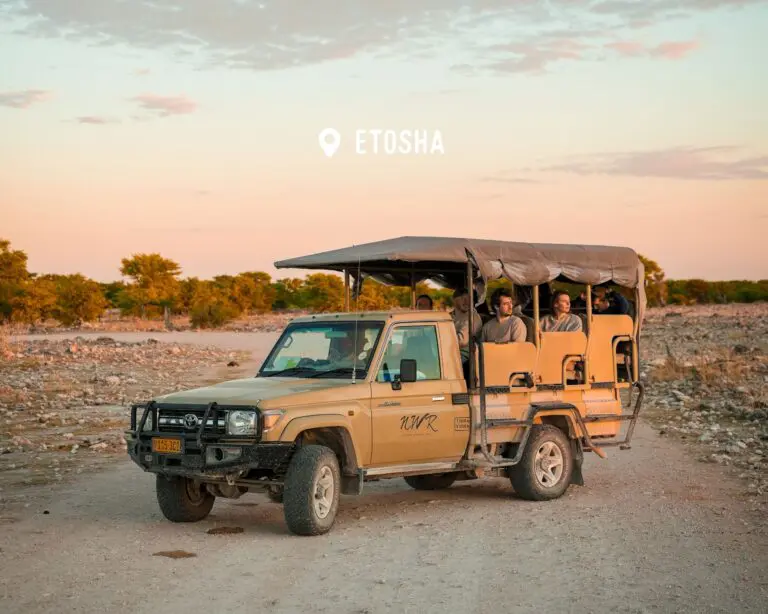 Morning game drive - Etosha - Namibia Nomads