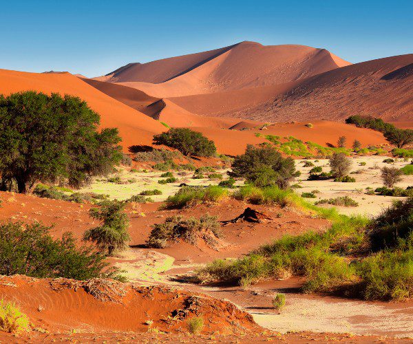 Woestijn Namibië, Désert de Namibie
