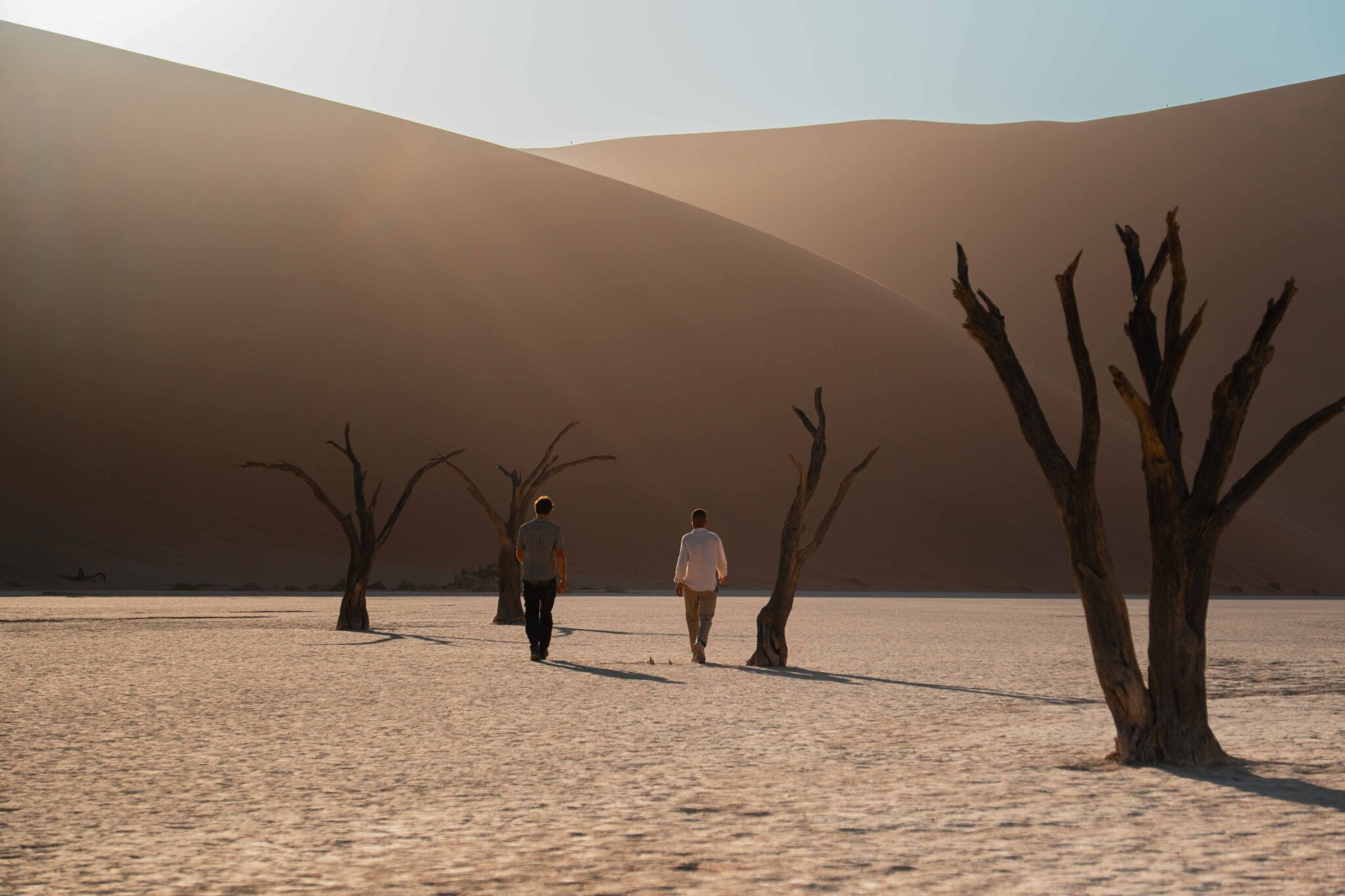 Deadvlei in Namibia